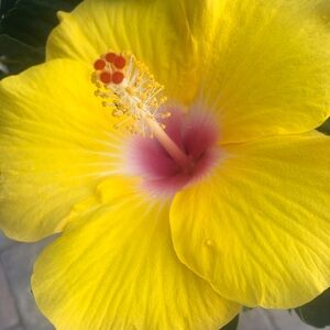 Meet your Posher, Robin